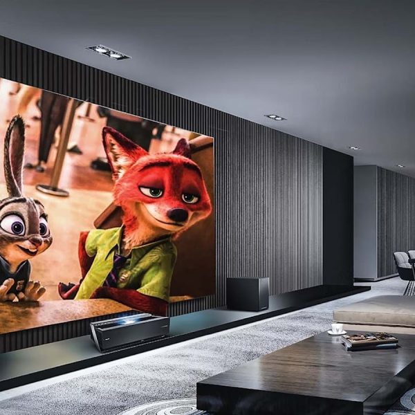 Stadium Scale at Home: Recreating the Live Sports Experience Without the Crowds